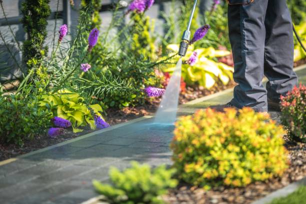 Best Dumpster Area Cleaning  in Layhill, MD